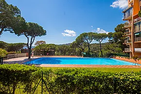 Casa adosada para reformar en Platja d'Aro