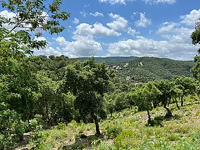 Terrain dans quartier résidentiel