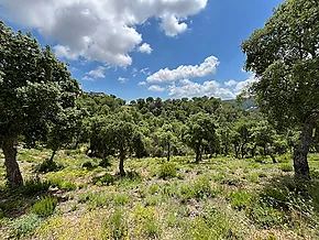 Terrain dans quartier résidentiel