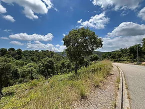 Land in residential area in Calonge