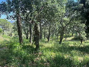 Terrain dans un quartier résidentiel à Calonge