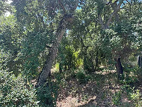 Plot in quiet neighborhood of Cabanyes