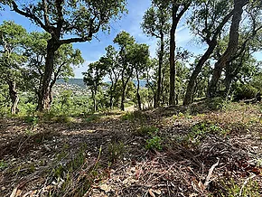 Nouveaux terrains de construction à Calonge