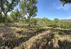 Nouveaux terrains de construction à Calonge