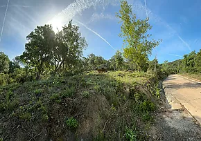 Parcelas de Obra nueva en Calonge